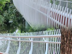 -金鸡山公园