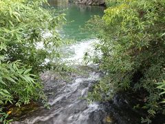 -花溪公园