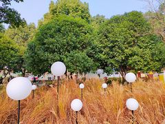 -东钱湖旅游度假区