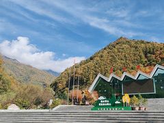 -牛背梁国家森林公园