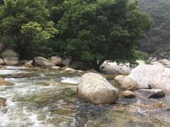 -秦岭风景区
