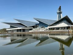 -盐城丹顶鹤湿地生态旅游区