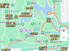 -上海共青森林公园