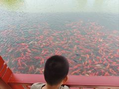 -西海子公园