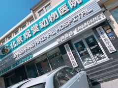 -北京观赏动物医院·24小时大型综合·猫专科·异宠专科