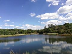 -北纬44度·金珠花海休闲农业旅游景区