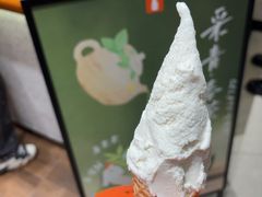 -野人先生现做冰淇淋(北京环宇荟店)