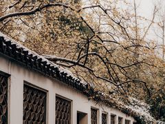 -惠山古镇·寄畅园