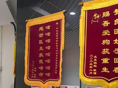 -中农国际动物医院24小时·猫科·骨科·急重症中心