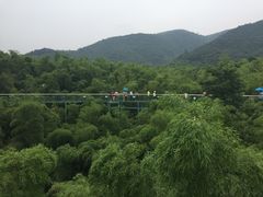 -陶祖圣境风景区