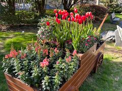 -上海市第八中学