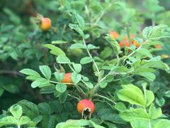 -榆林榆阳西路火车站亚朵酒店