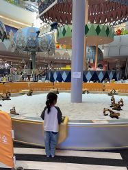 -超级奈尔宝SUPER NEOBIO(杭州星光店)