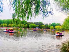 -二一九公园
