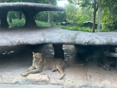 -北京野生动物园