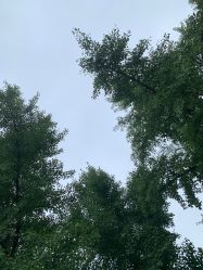 -HEYAN长风荷妍专业脱毛美肤
