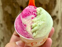 -Dip in Gelato(富民路店)