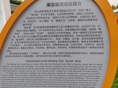 -南京眼步行桥