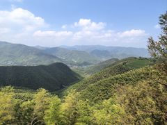 -莫干山风景区