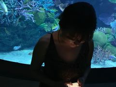 -暹罗海洋世界