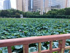 -黄兴公园