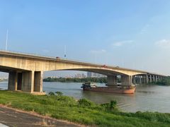 -王借岗森林公园