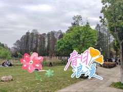-青龙山国家森林公园