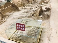 -古车博物馆