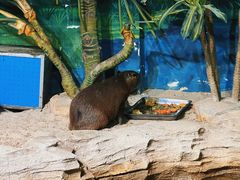 -海合安武汉极地海洋公园