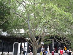 -白鹿洞书院