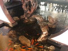 -冶春茶社(官园桥店)