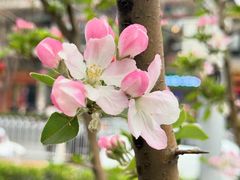 -元大都城垣遗址公园