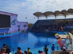 -北戴河圣蓝海洋公园