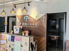 -美联众合宠物医院·爱萌分院·内外科·猫科中心