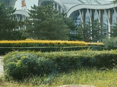 -张家口宁远机场