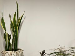 -大富贵烧烤公司(双廊店)