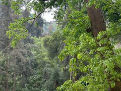 -南宁良凤江国家森林公园