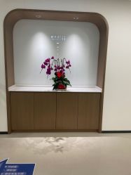 -丰联丽格医疗美容·联合丽格眼整形中心