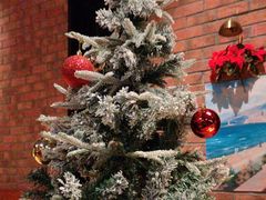 -弗兰克牛排西餐厅Ribone steak house(柠檬花园店)