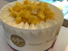 -维尔纳斯·生日蛋糕·动物奶油冰淇淋蛋糕(六里桥店)