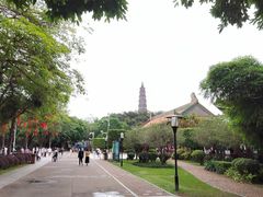 -顺峰山公园