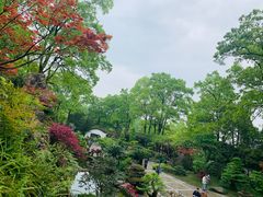 -南山植物园