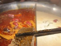 台式麻辣锅-湊湊火锅·茶憩(世博大道店)