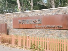 -东郊湿地公园