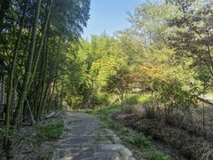 -江南天池