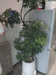 -LJOY丽锦造型·烫发染发