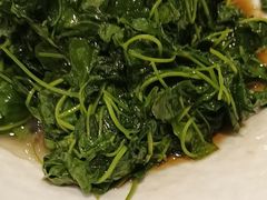 -齐家花园大酒店(宝山店)