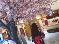 -大江户·温泉洗浴(浑南店)