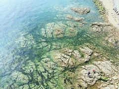 -星海湾跨海大桥