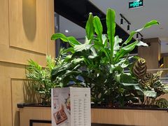 -半秋山西餐厅(沙坪坝店)